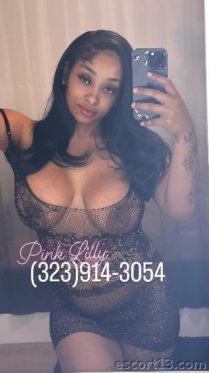 Pink Lilly  Las Vegas 3239143054