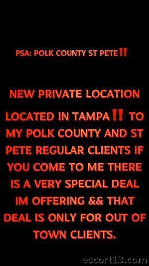  Tampa 8134367878