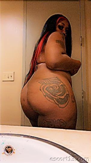  Saint Louis 3142795712